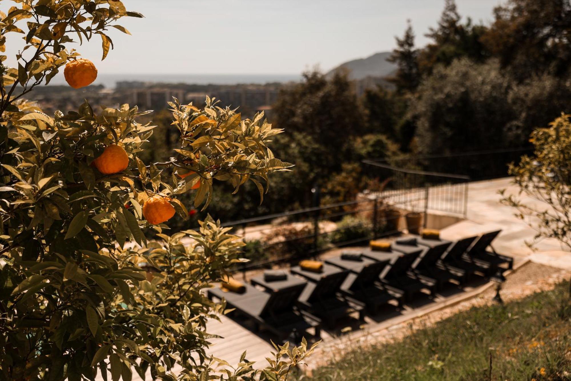 Villa Les Roches Mandelieu La Napoule Bagian luar foto