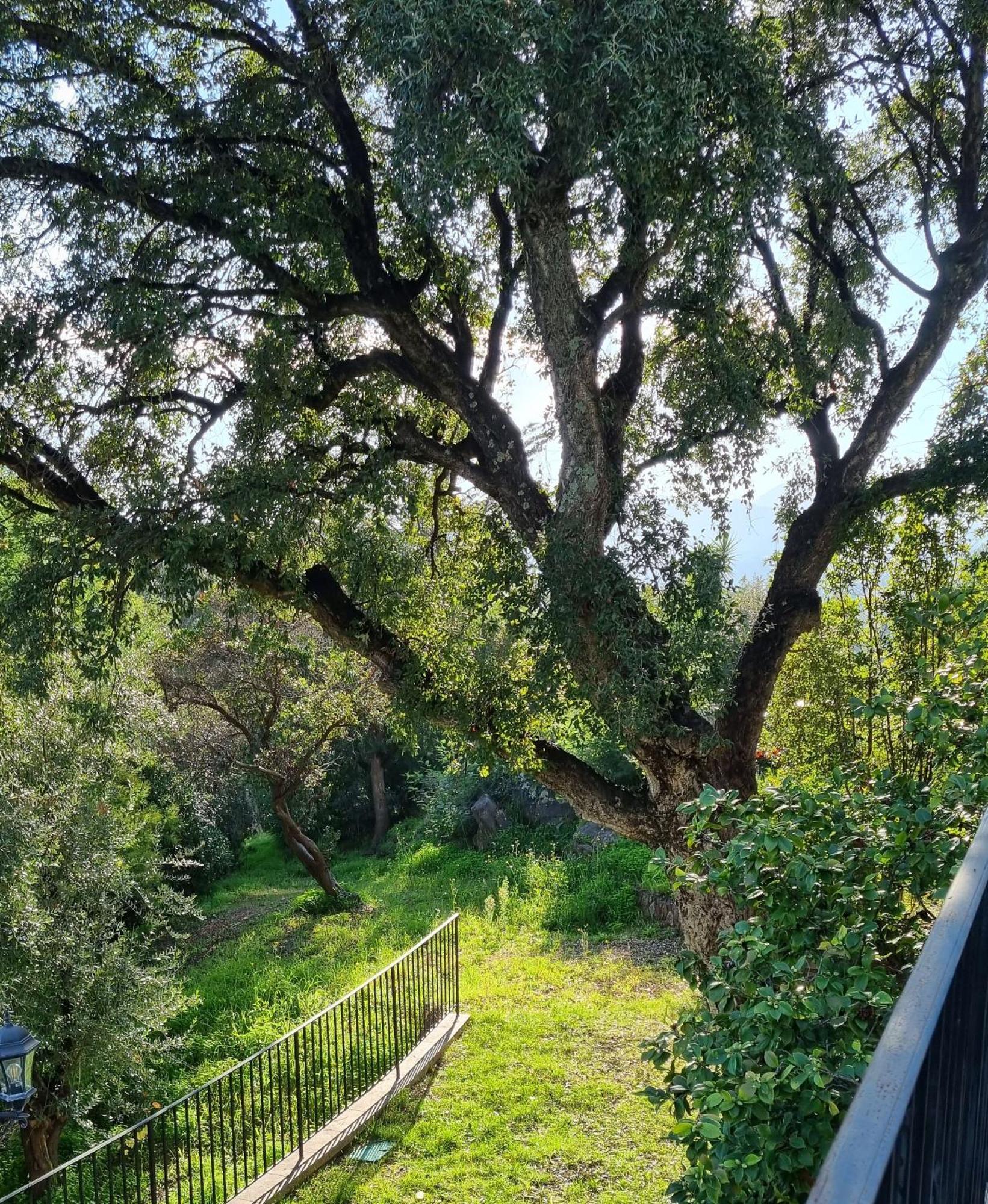 Villa Les Roches Mandelieu La Napoule Bagian luar foto
